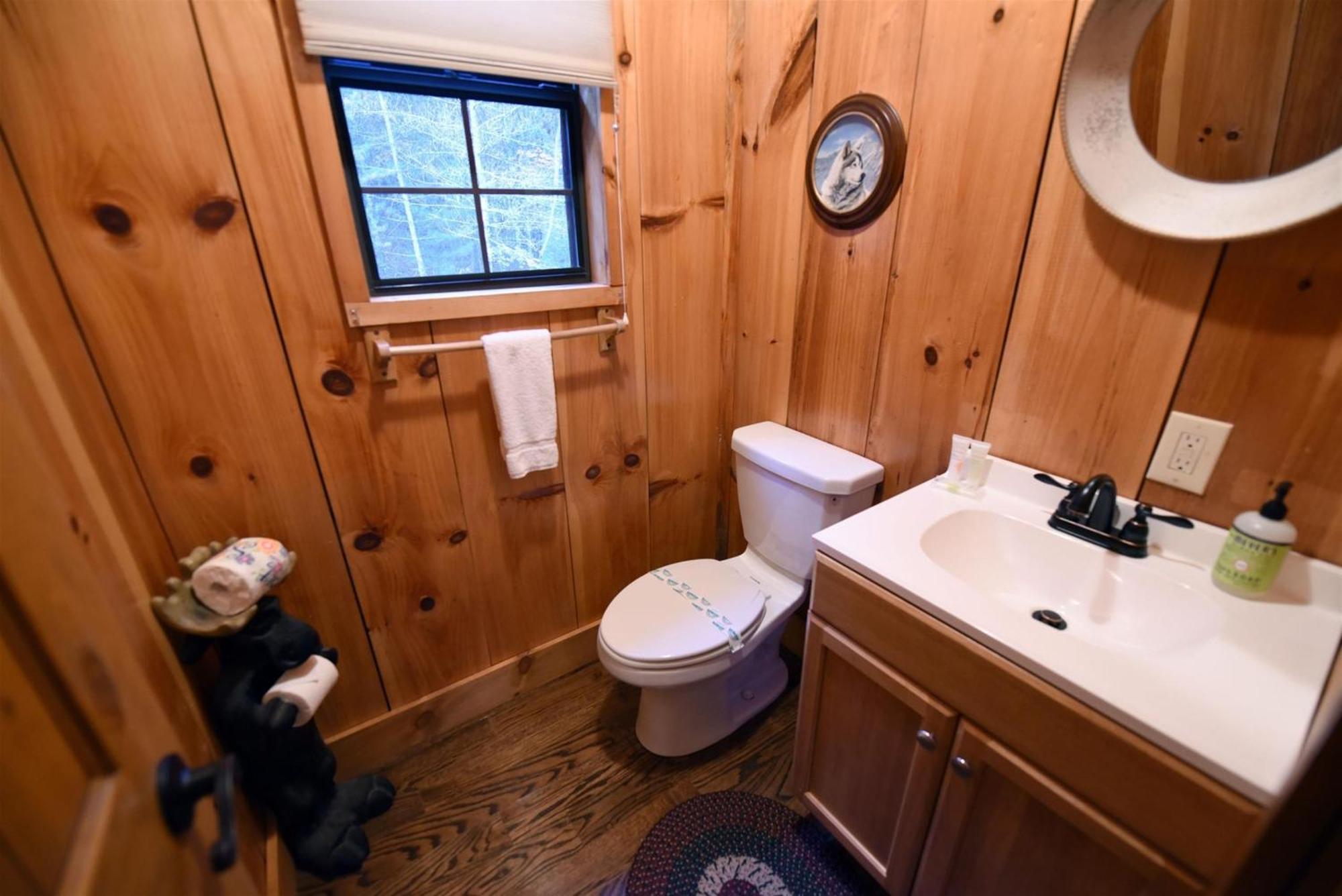Hawk Haven- Blue Ridge Villa Morganton Kültér fotó